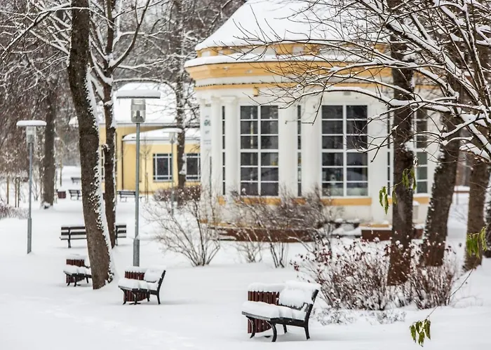 Apartament Relax Near Egle Druskieniki